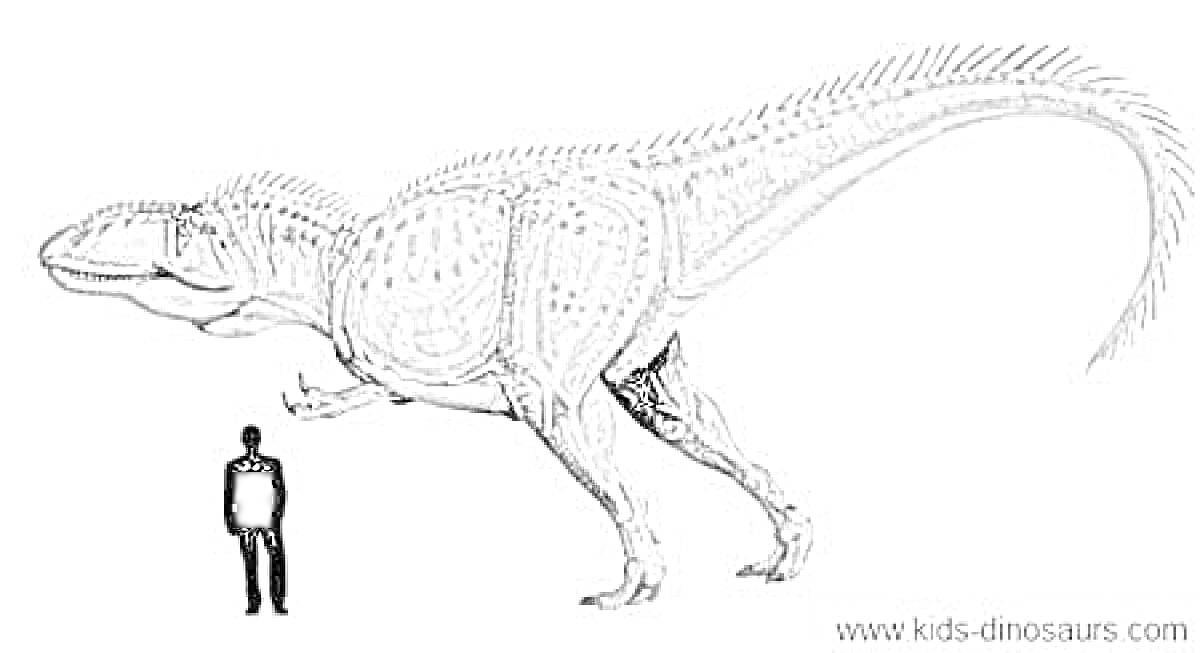 На раскраске изображено: Гигантозавр, Динозавр, Человек, Древние животные, Палеонтология, Иллюстрация