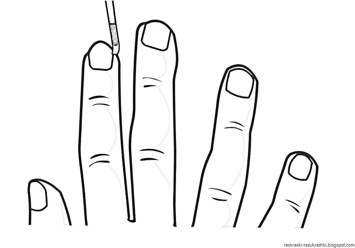 На раскраске изображено: Маникюр, Рука, Ногти, Лак для ногтей, Косметика, Кисточки