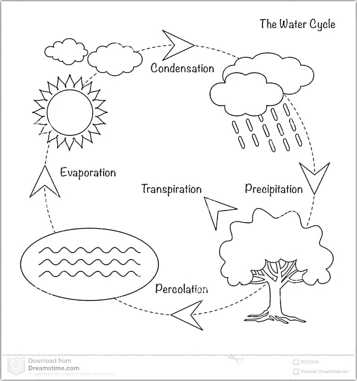 Раскраска Круговорот воды с элементами (солнечная энергия, испарение, конденсация, осадки, фильтрация, транспирация, водоем, дерево, облака, стрелки)