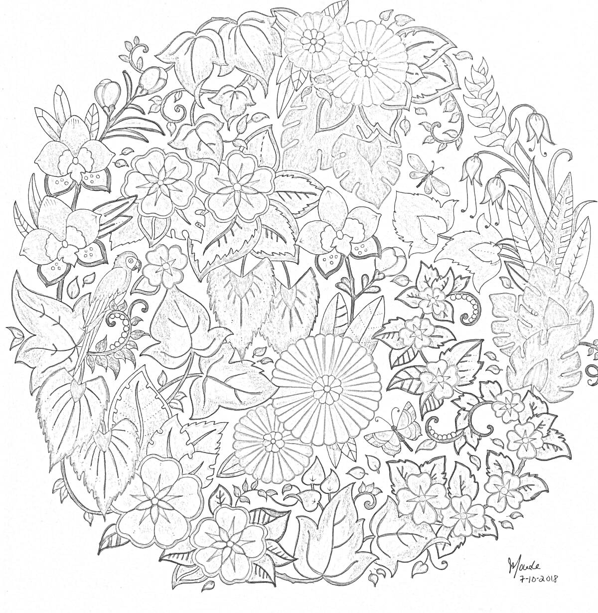 Раскраска Цветочный круг с разнообразными растениями, листьями и бабочками