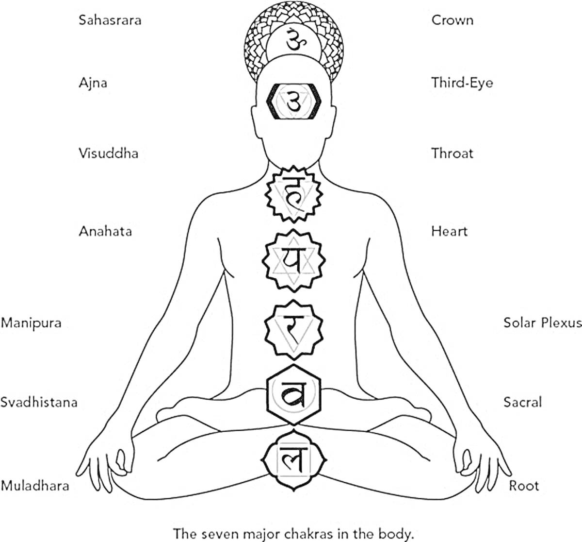 Раскраска Семь главных чакр в теле человека (Sahasrara, Ajna, Visuddha, Anahata, Manipura, Svadhisthana, Muladhara) с обозначением участков тела