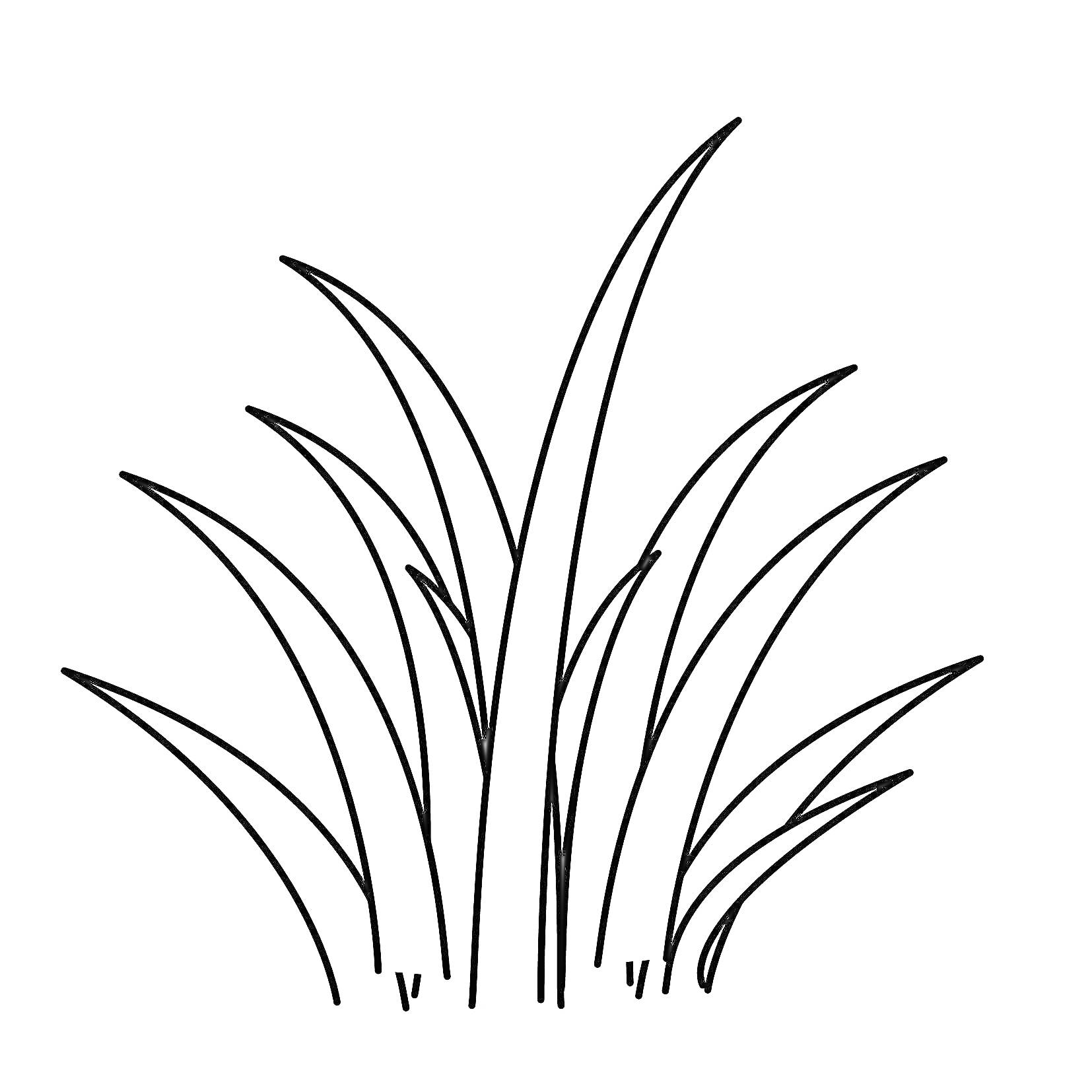На раскраске изображено: Трава, Растения, Природа, Буква Т, Для детей