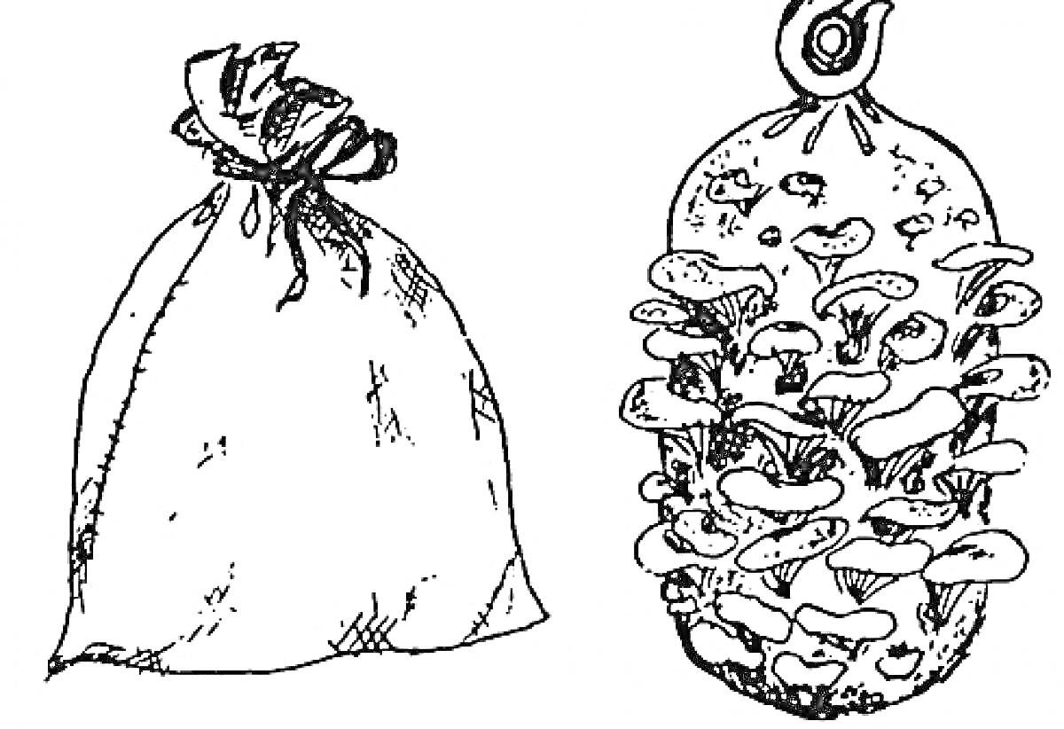 Раскраска Два мешка — один простой мешок и мешок с грибами