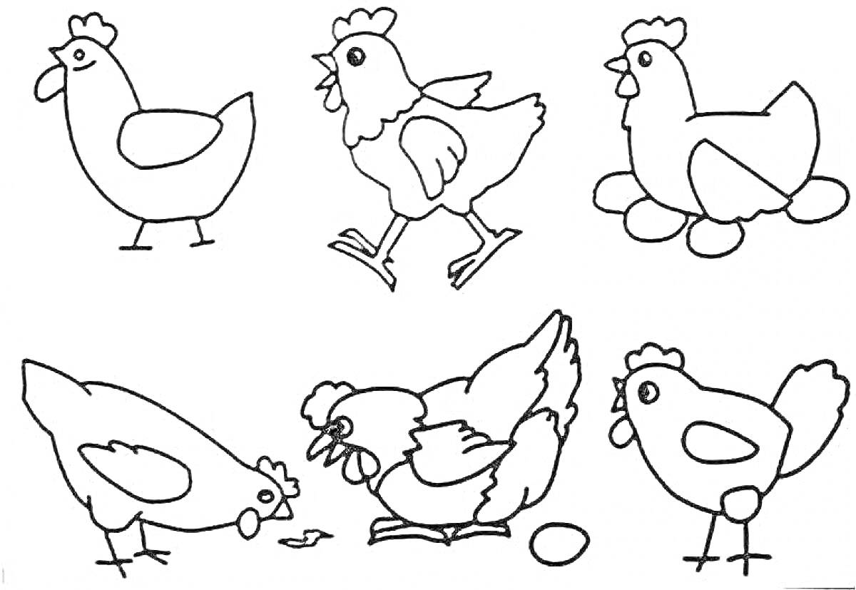 Раскраска Куры в разных положениях, курица на яйцах, куры клюют корм