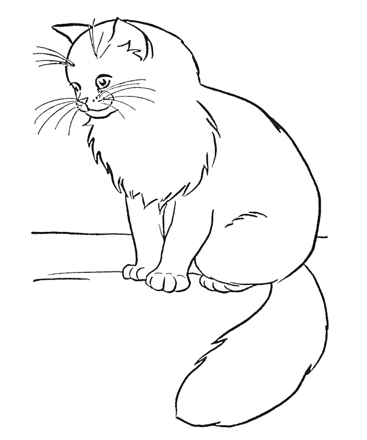 Раскраска Кошка, сидящая на ветке