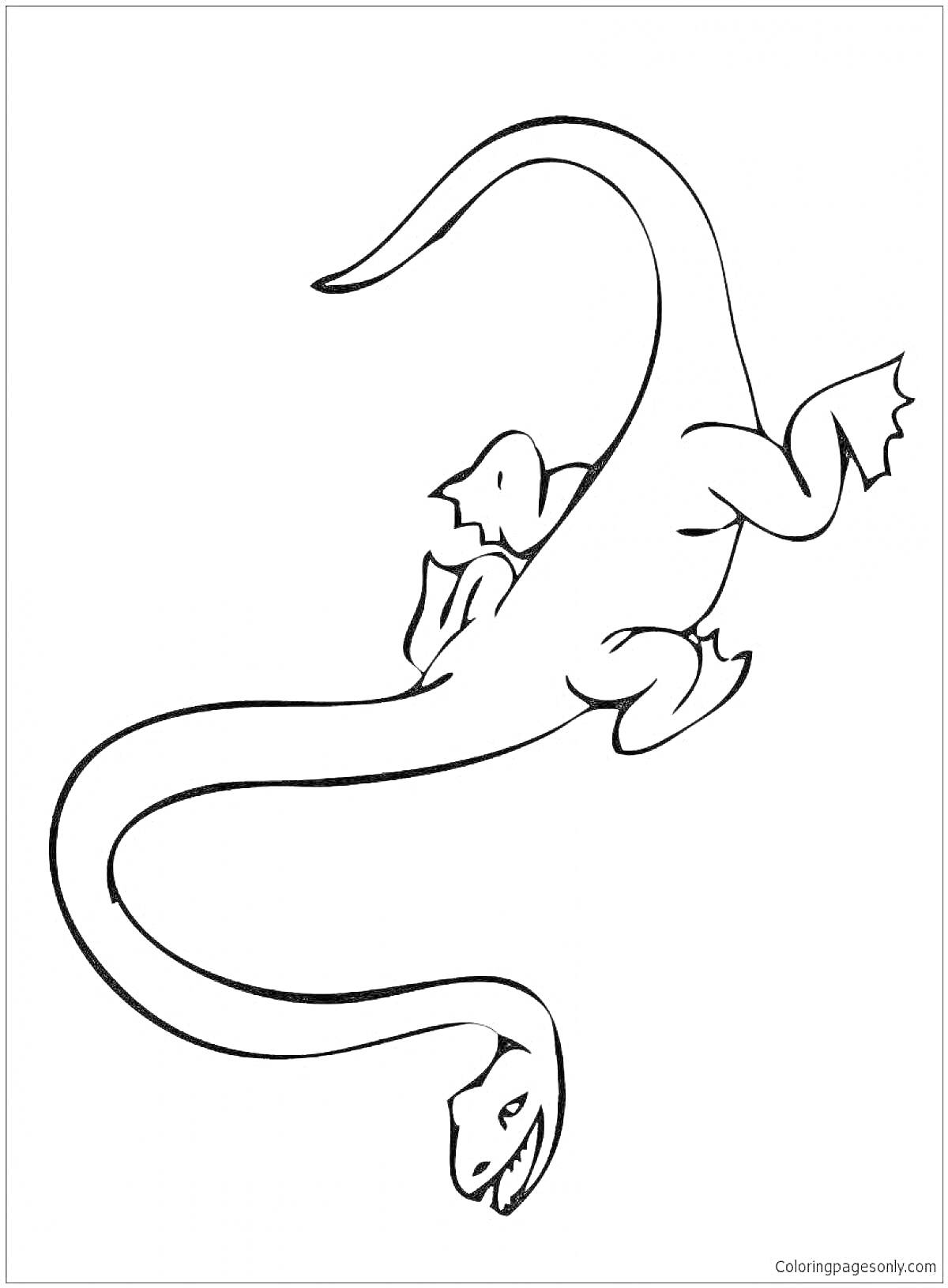 На раскраске изображено: Лохнесское чудовище, Динозавр, Длинная шея, Хвост, Лапы, Плавники