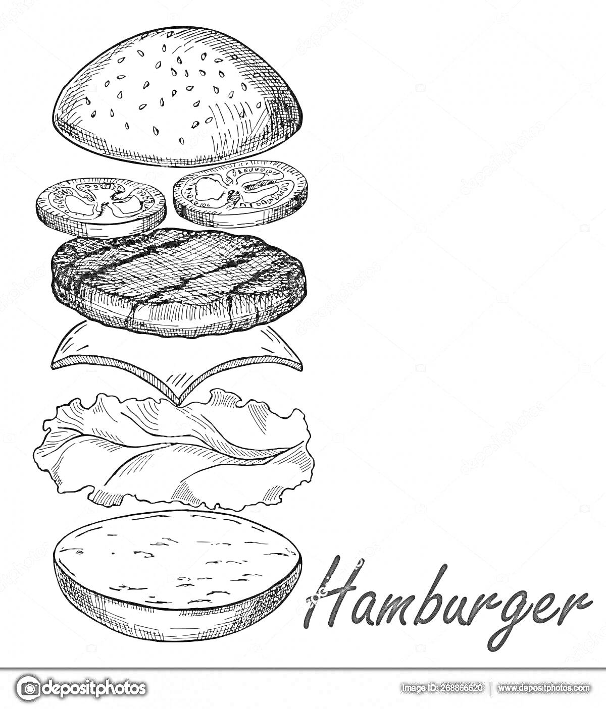 Раскраска Гамбургер в разборе с булочками, двумя помидорами, котлетой, сыром, салатом