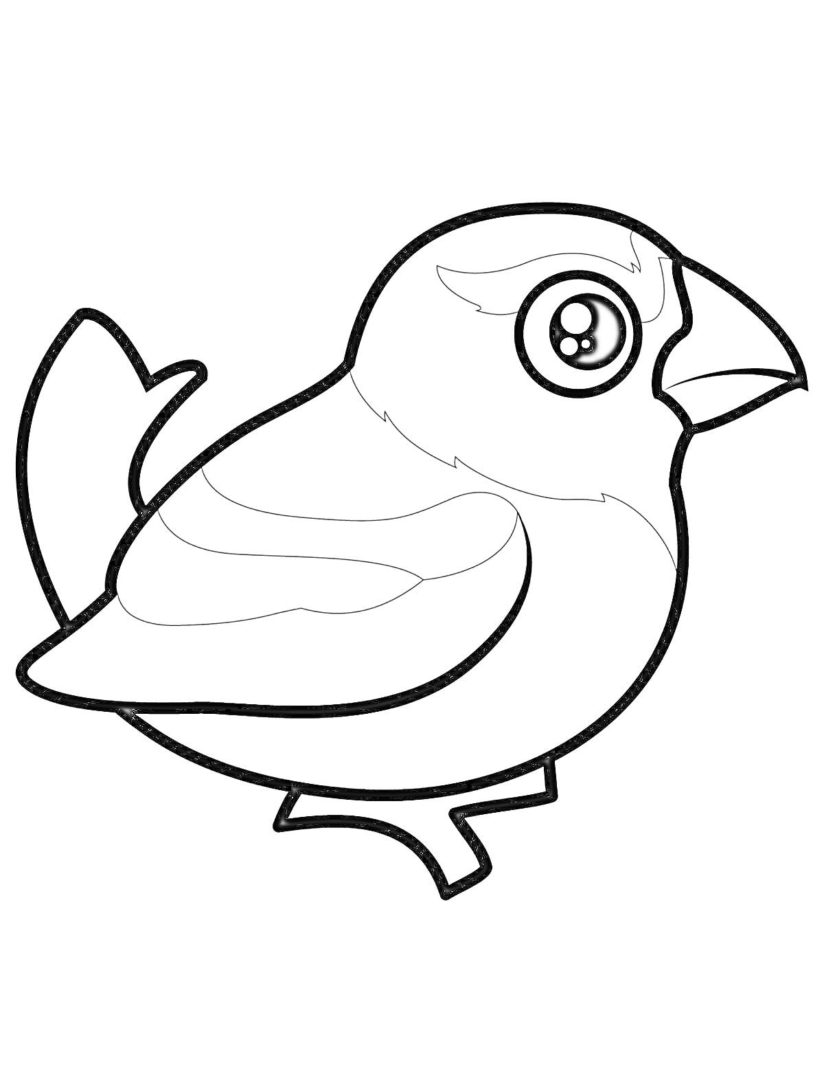 Раскраска Птичка с большим глазом и выделенными крыльями на ветке