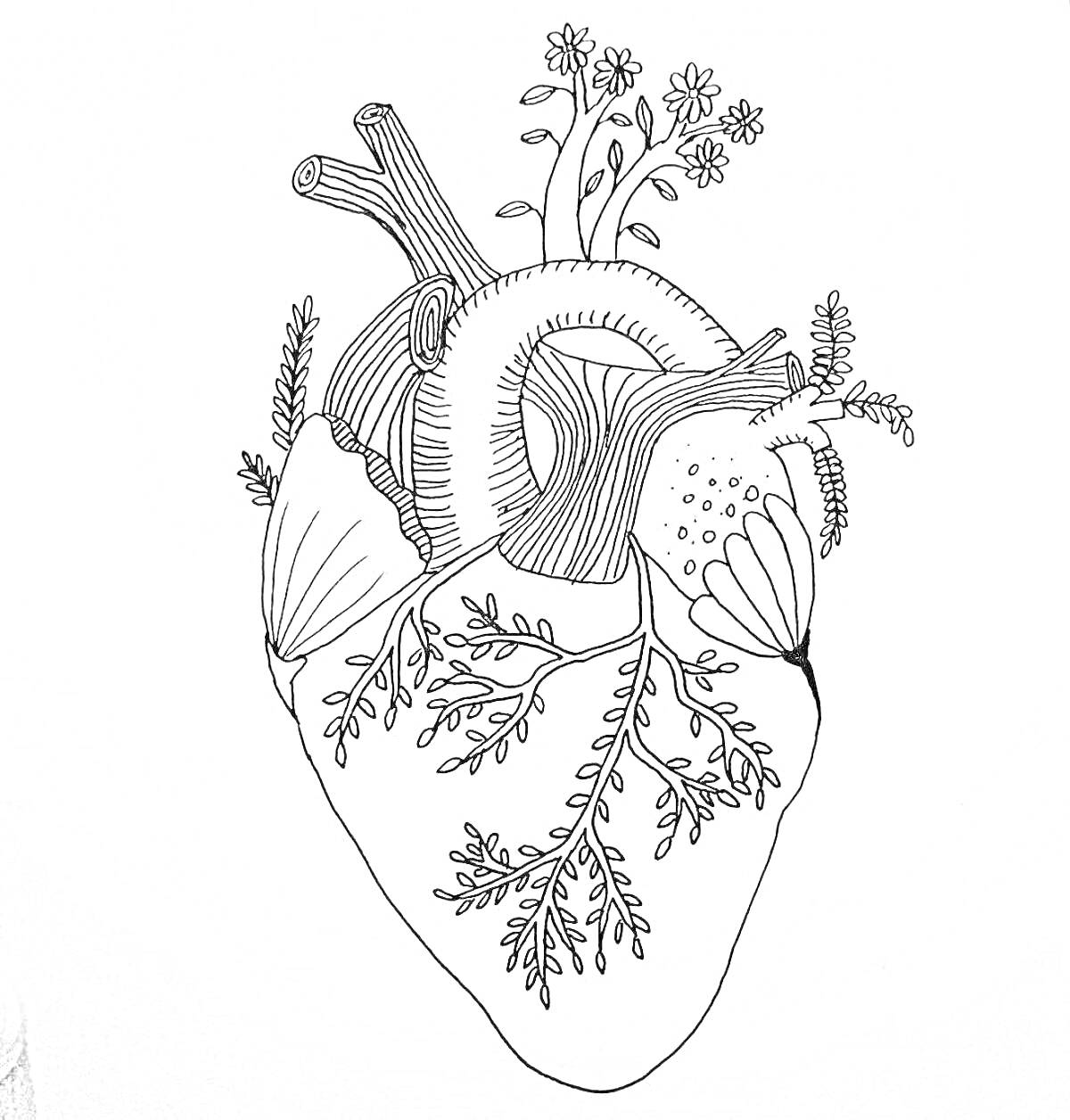 Раскраска Сердце с цветами и листьями