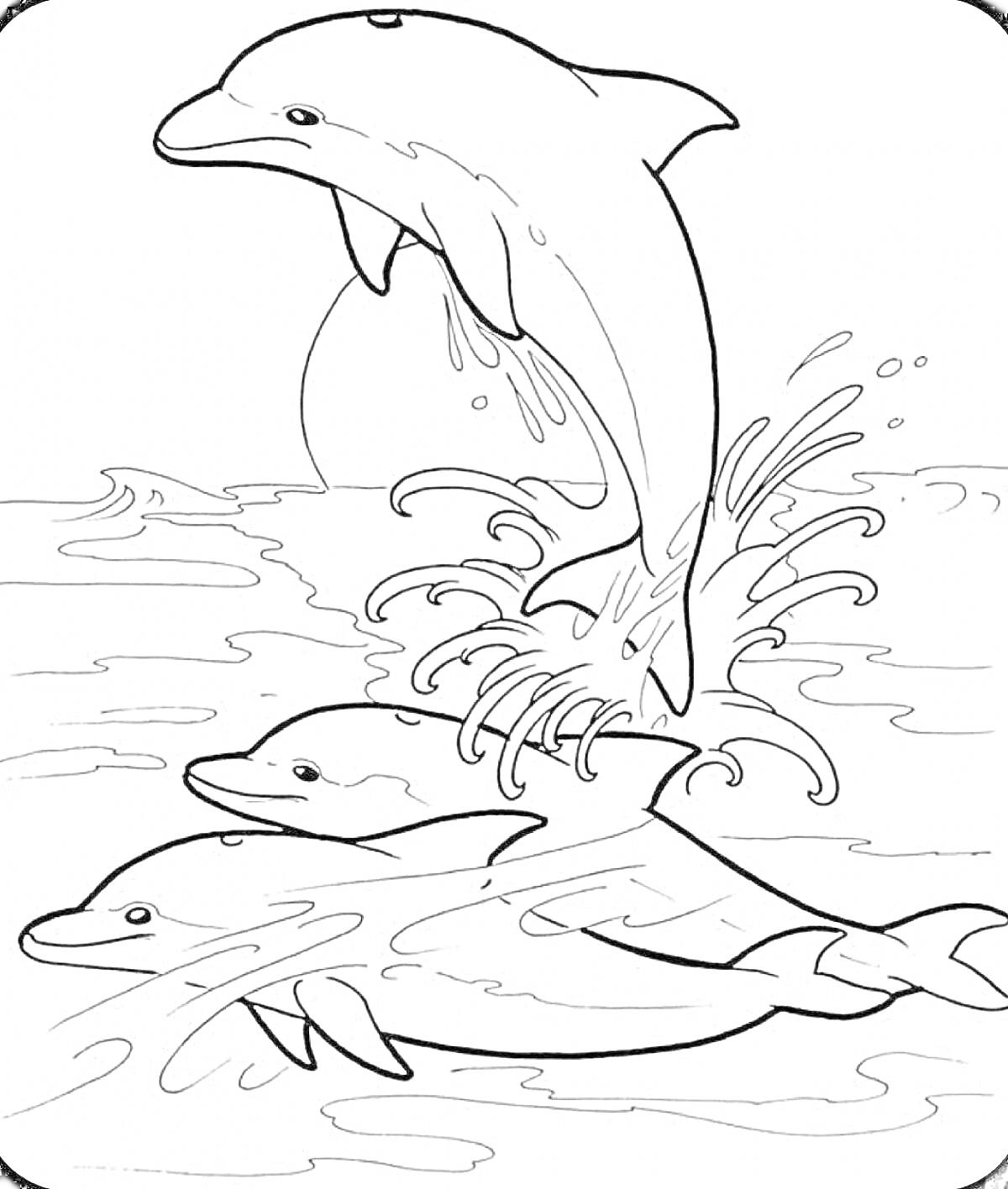 Раскраска Три дельфина, скачущие из воды на фоне заката