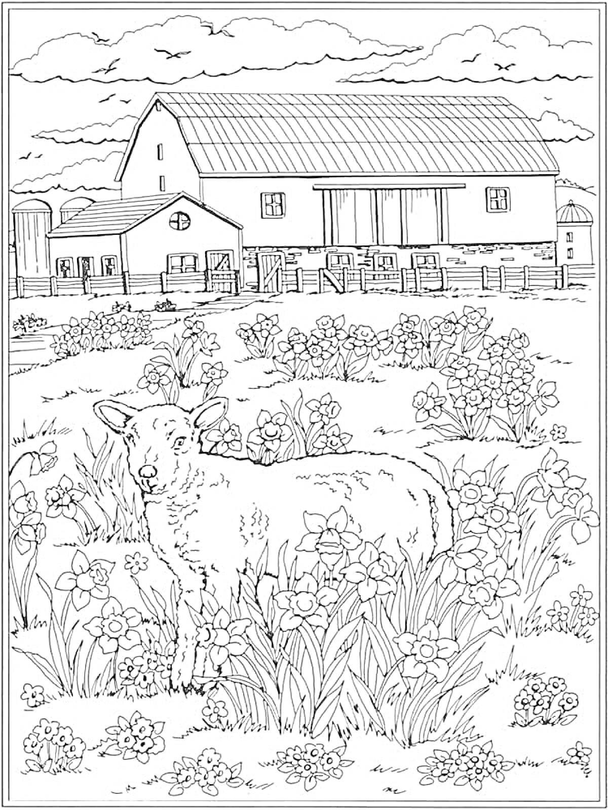 Овца на пастбище перед фермерским домом и цветами
