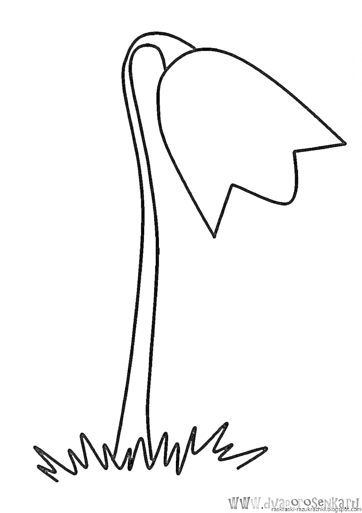 Раскраска раскраска 