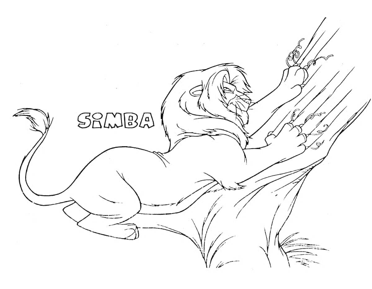 На раскраске изображено: Лев, Симба, Король лев