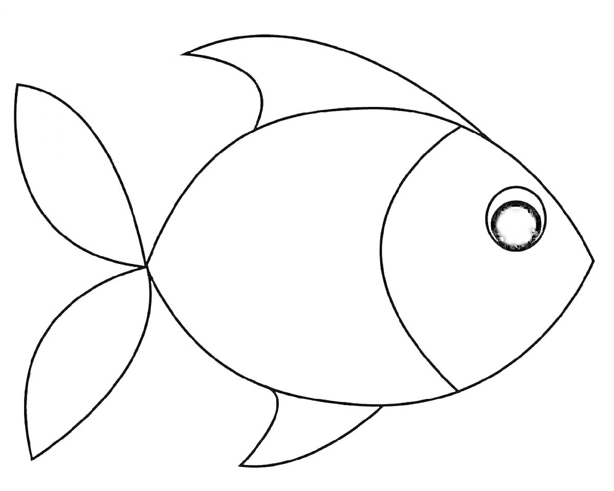 Раскраска Раскраска: рыба с большими плавниками и глазом