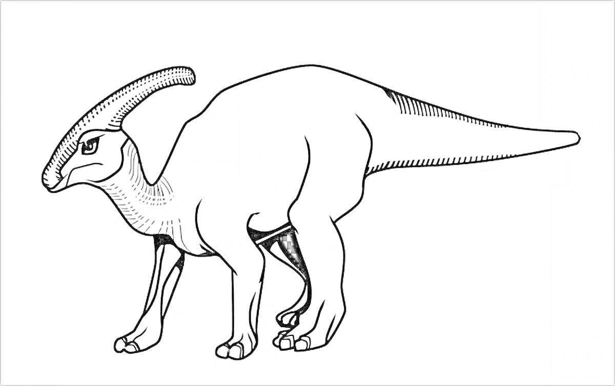 Раскраска Динозавр паразауролоф с гребнем, раскраска