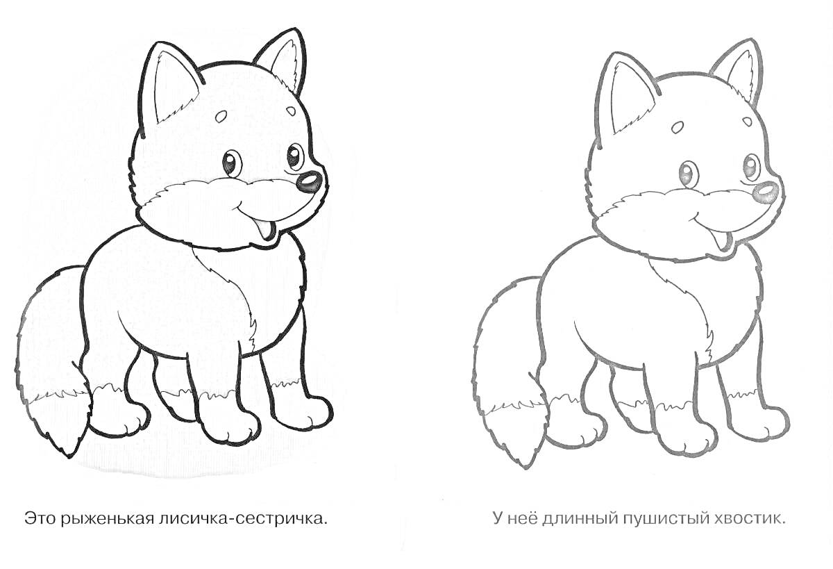 На раскраске изображено: Хвост, Животные, Пушистый хвост, Для детей, Лиса