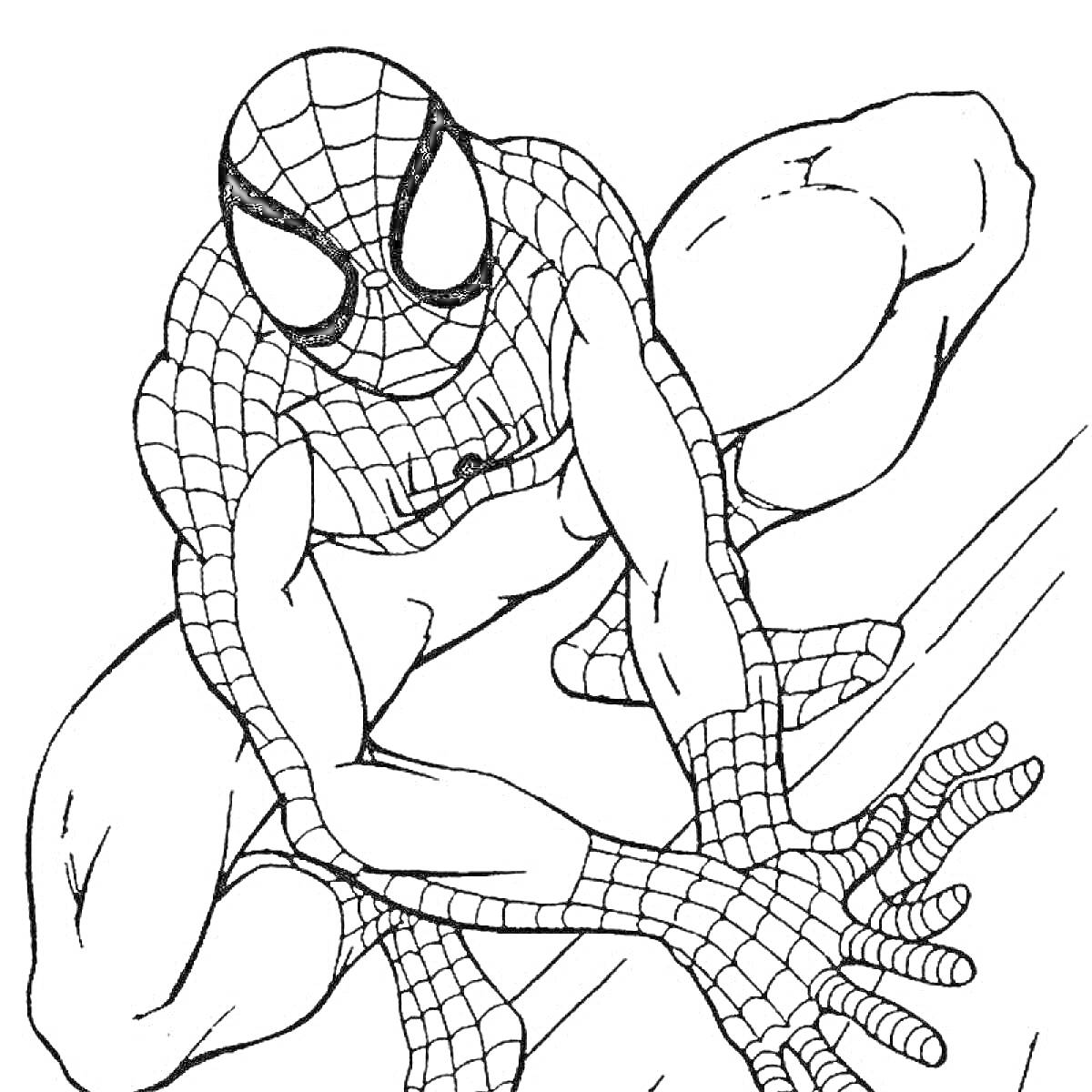 На раскраске изображено: Человек-паук, Комиксы, 6-7 лет, Паутина, Акробатика, Мальчик, Девочка