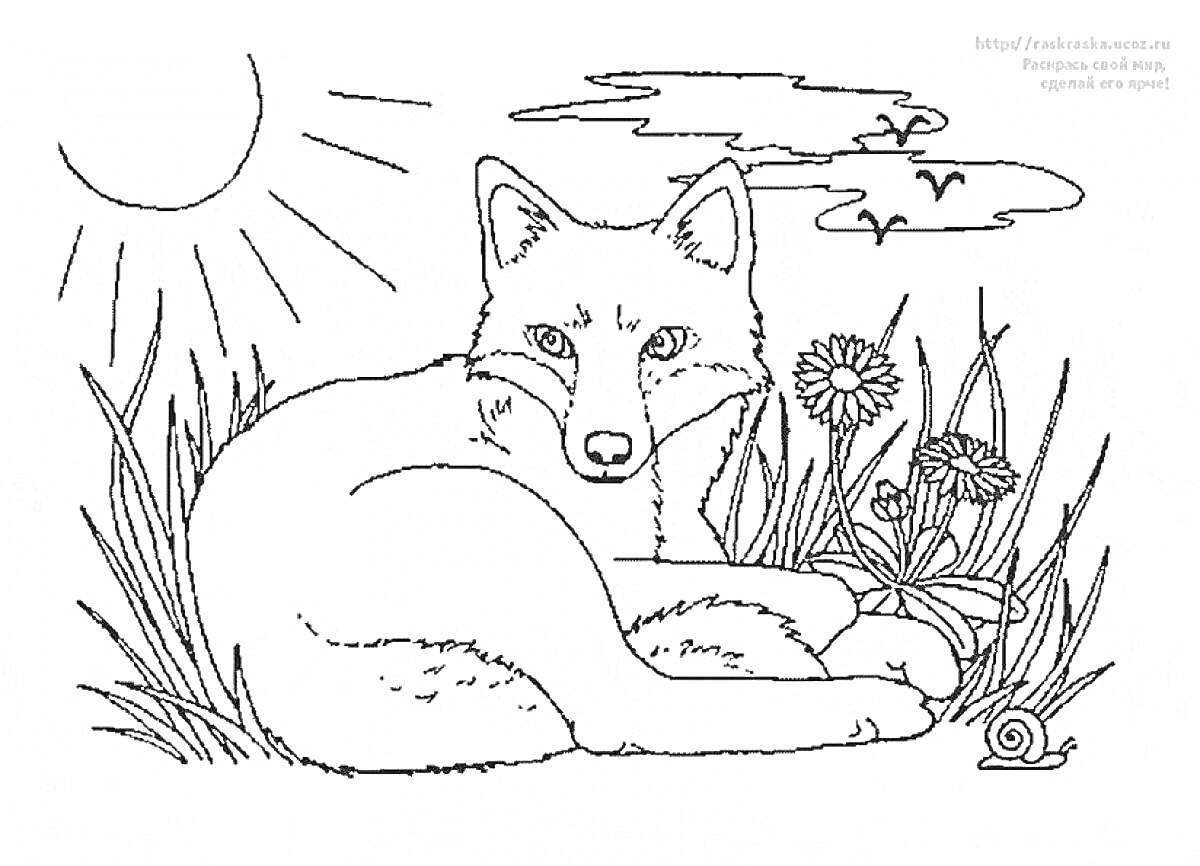 Лисица, лежащая на траве, рядом цветы, улитка, солнце, облака и летящие птицы