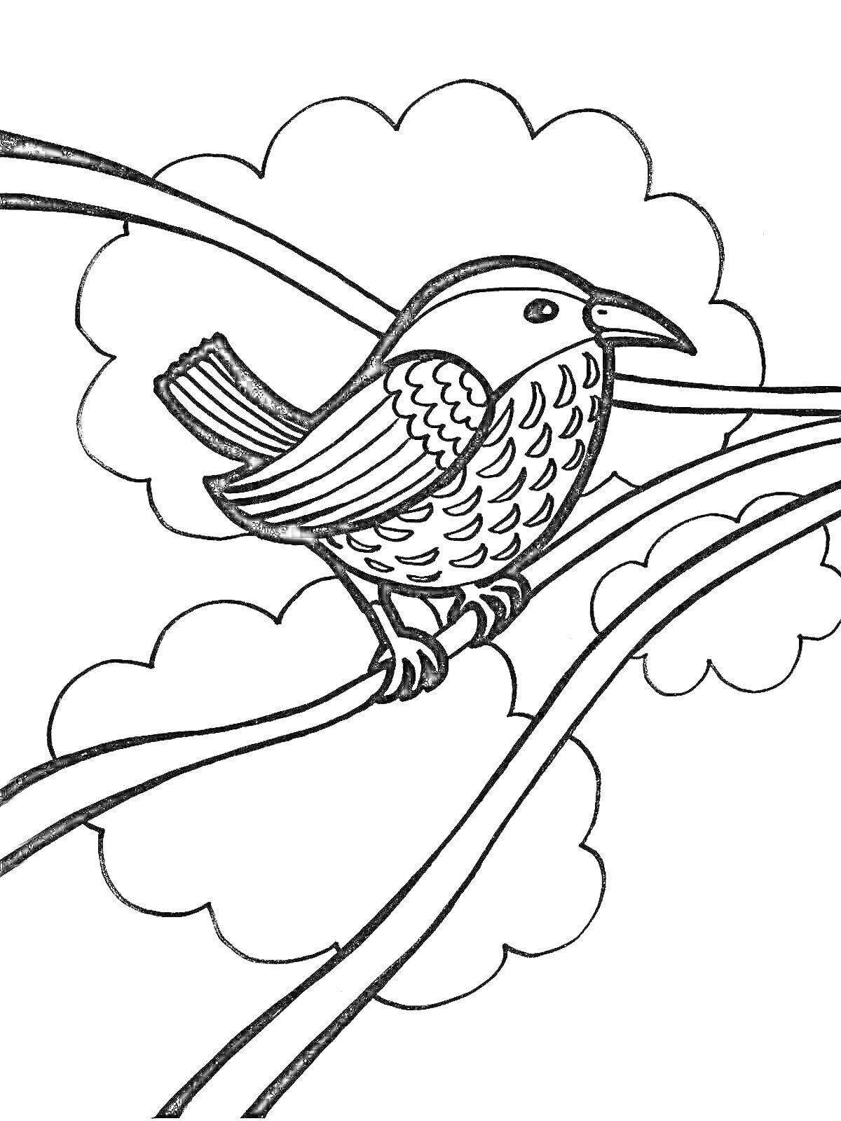 Раскраска Птичка на ветке дерева с облаками на заднем плане