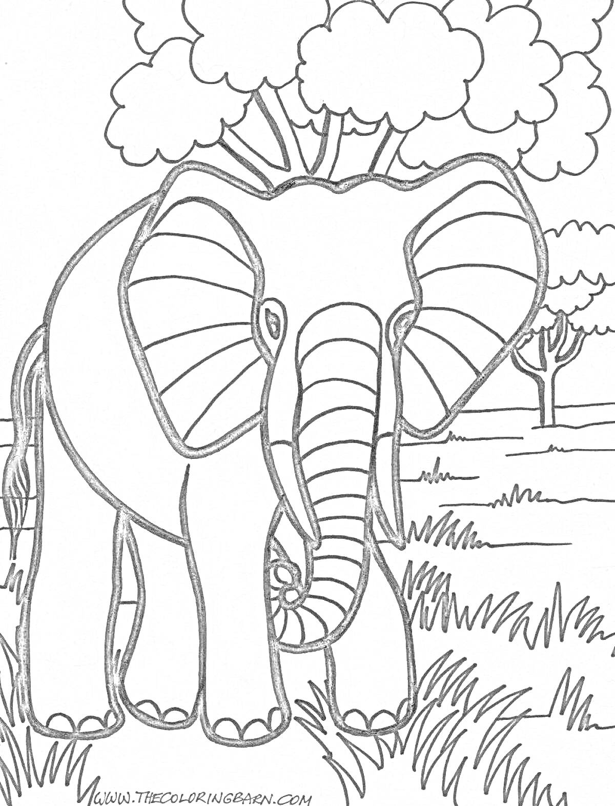 На раскраске изображено: Слон, Природа, Трава, Для детей