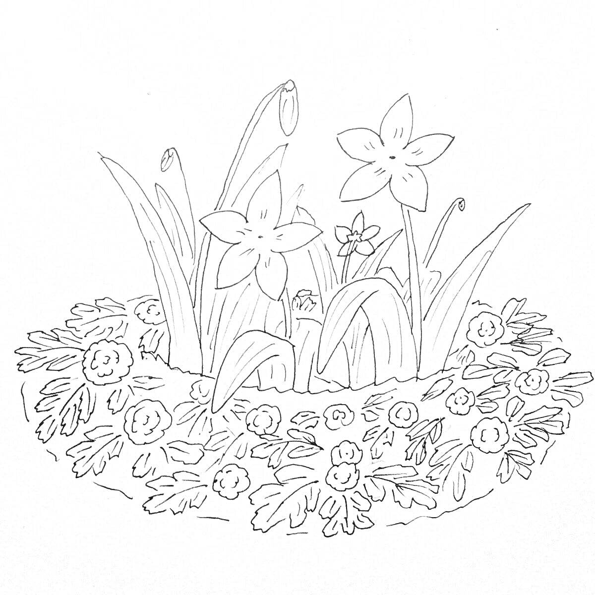 На раскраске изображено: Клумба, Цветы, Растения, Природа