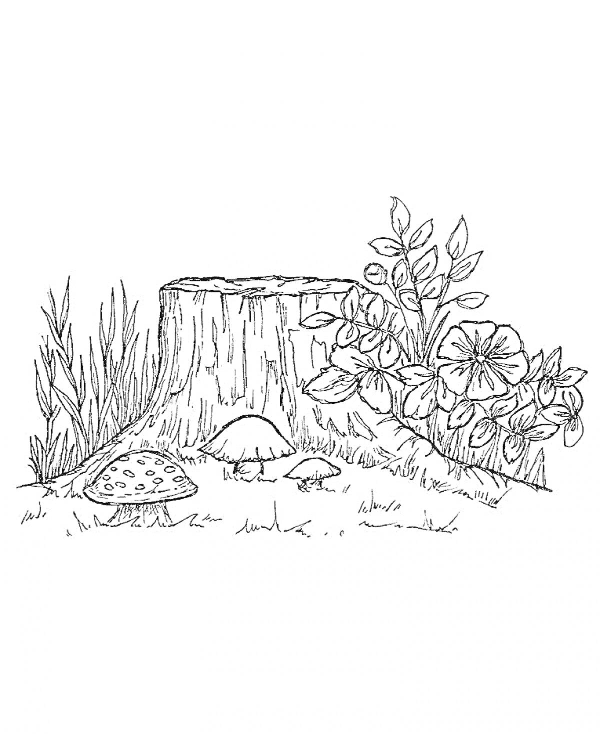 Раскраска Пень с травой, грибами и цветами