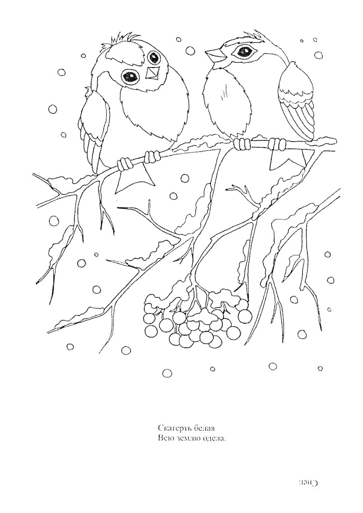 На раскраске изображено: Снегирь, Ветка, Ягоды, Снег, Зима, 6 лет, 7 лет