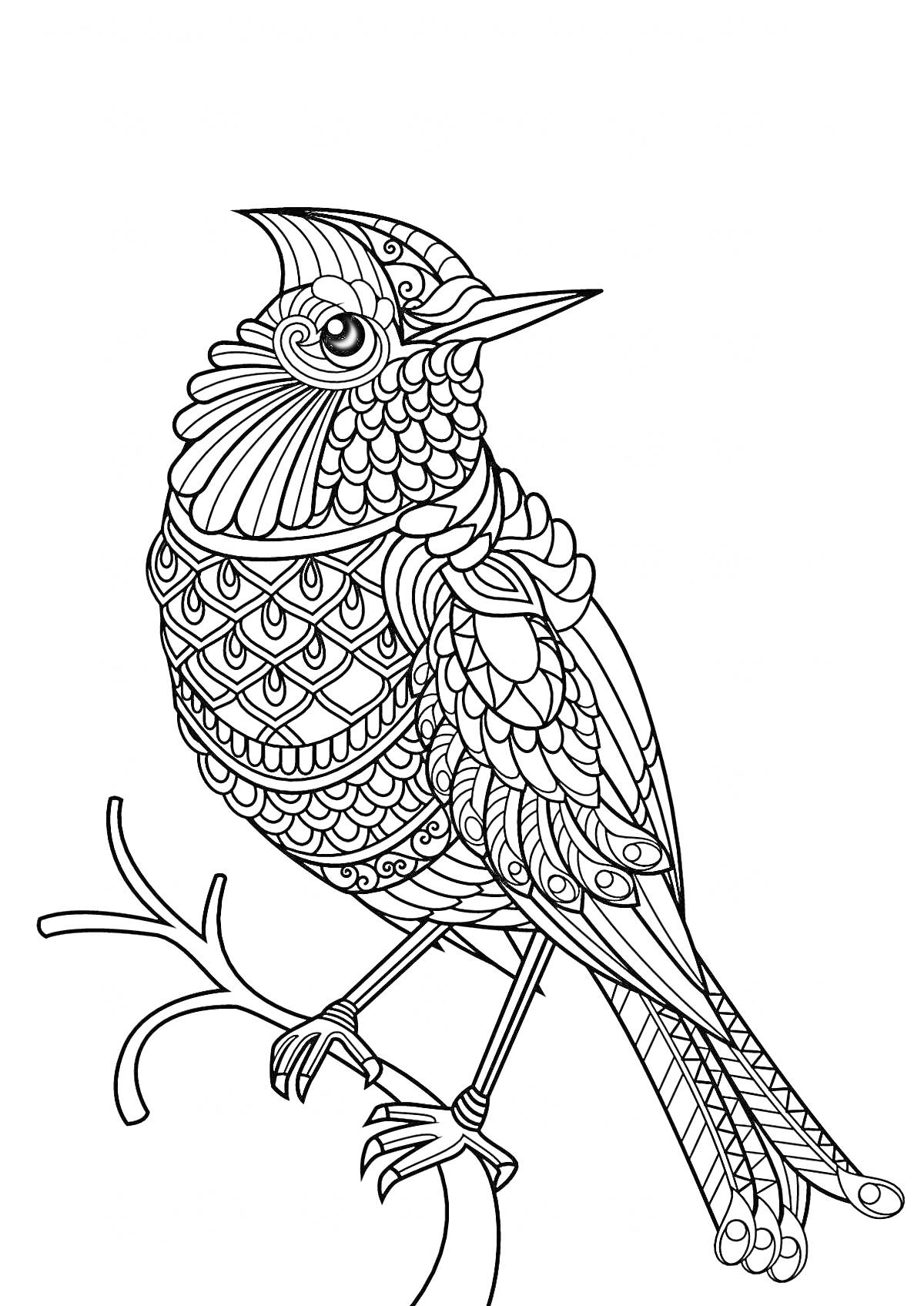 Птица на ветке с узорчатыми перьями