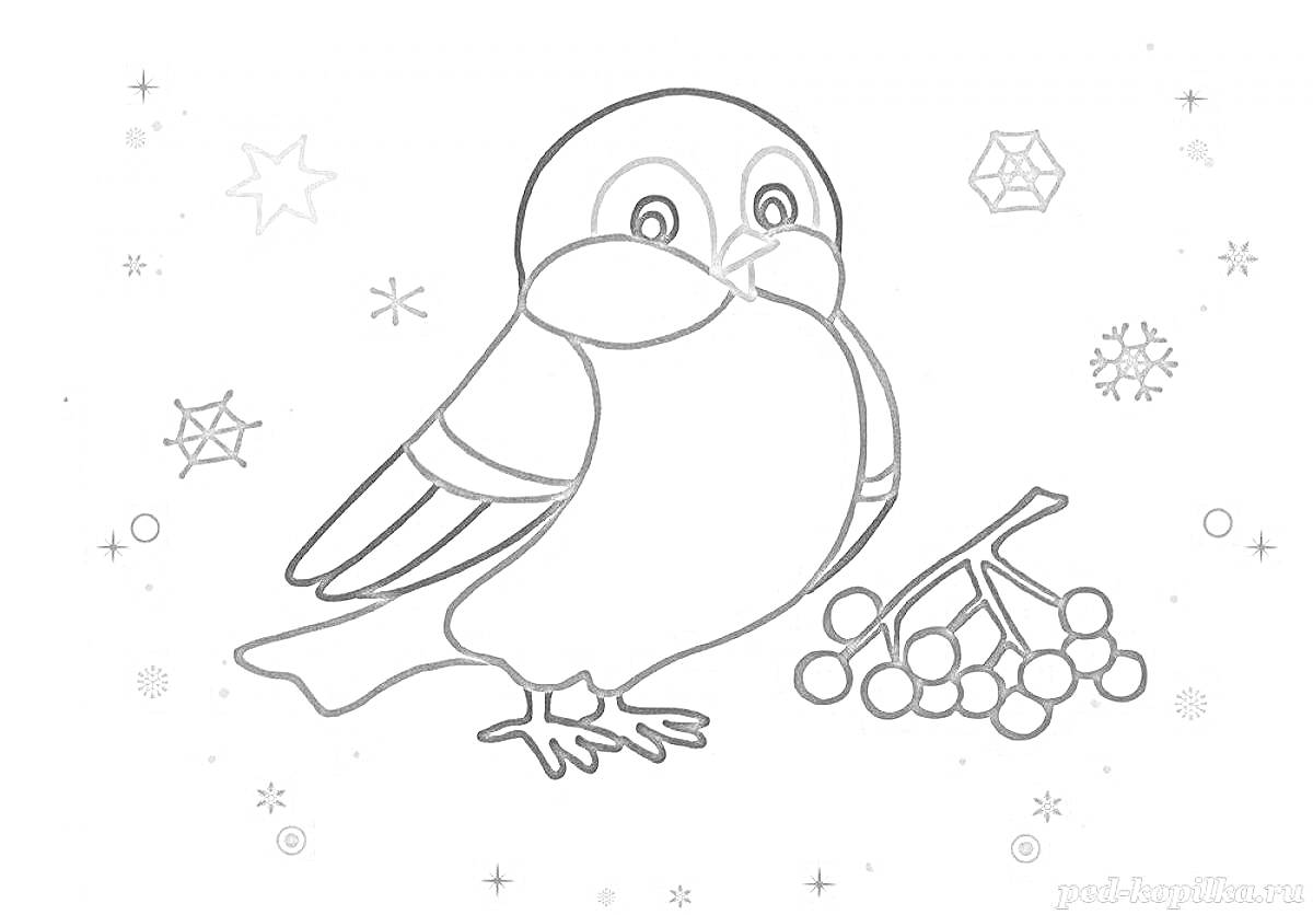 На раскраске изображено: Снегирь, Рябина, Снег, Зима, Ветка, Снежинки, Звезды, Птица