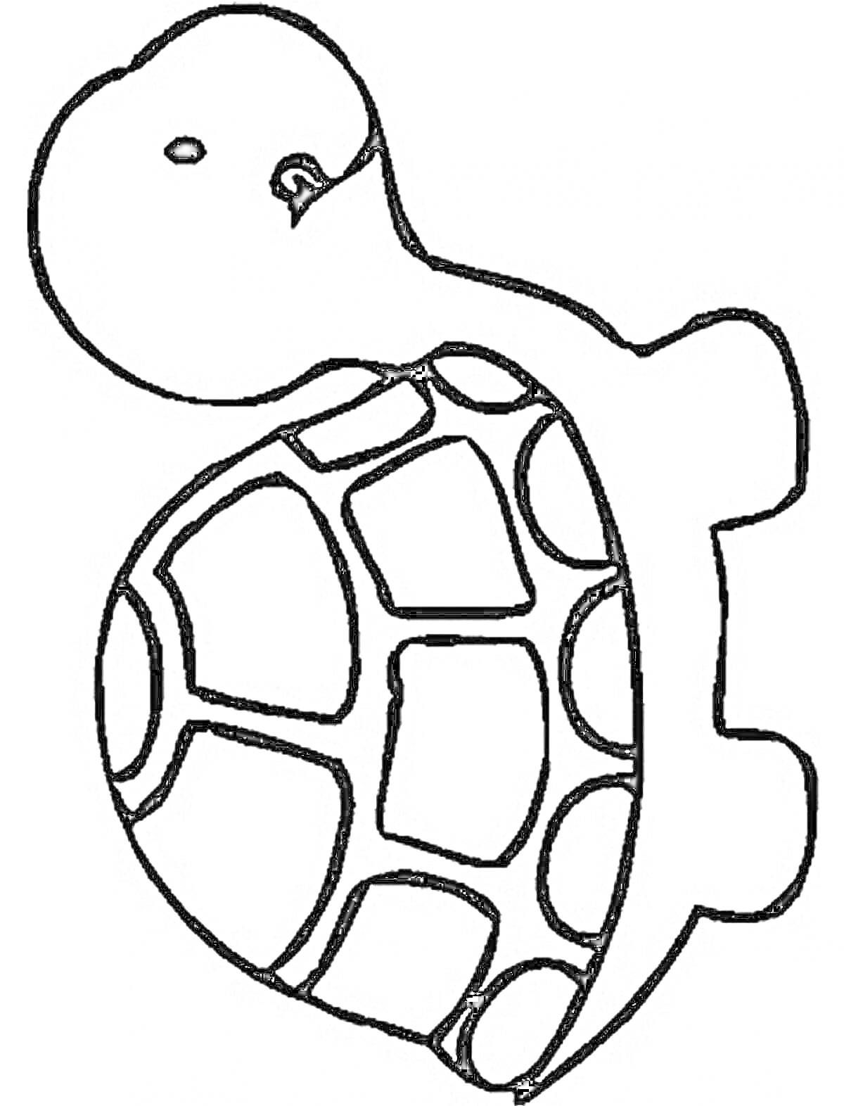 Раскраска контур черепахи с панцирем для раскрашивания