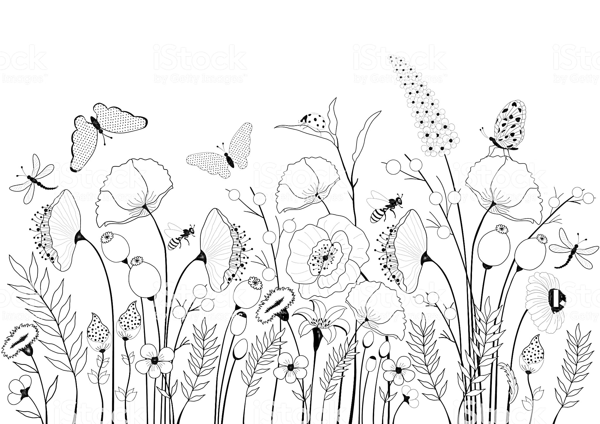 На раскраске изображено: Цветы, Пчелы, Жуки, Стрекозы, Природа, Поле, Растения