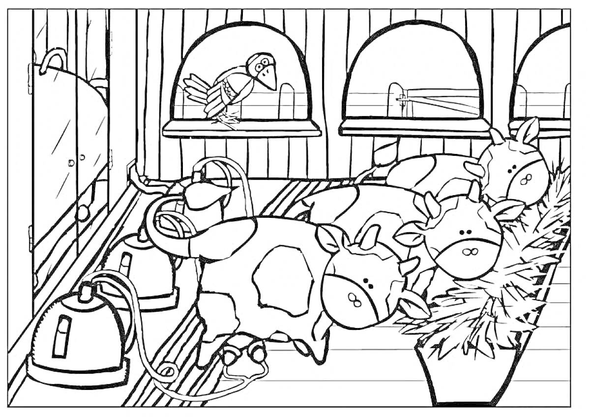 Раскраска Коровы в коровнике зимой с доильными аппаратами, птичка на насесте и сено