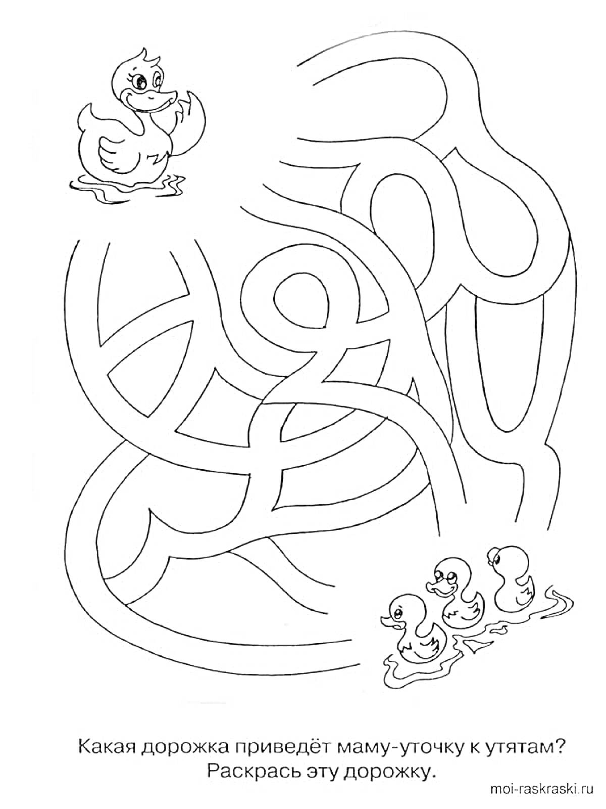 Раскраска Мама-утка и утята, лабиринт для соединения