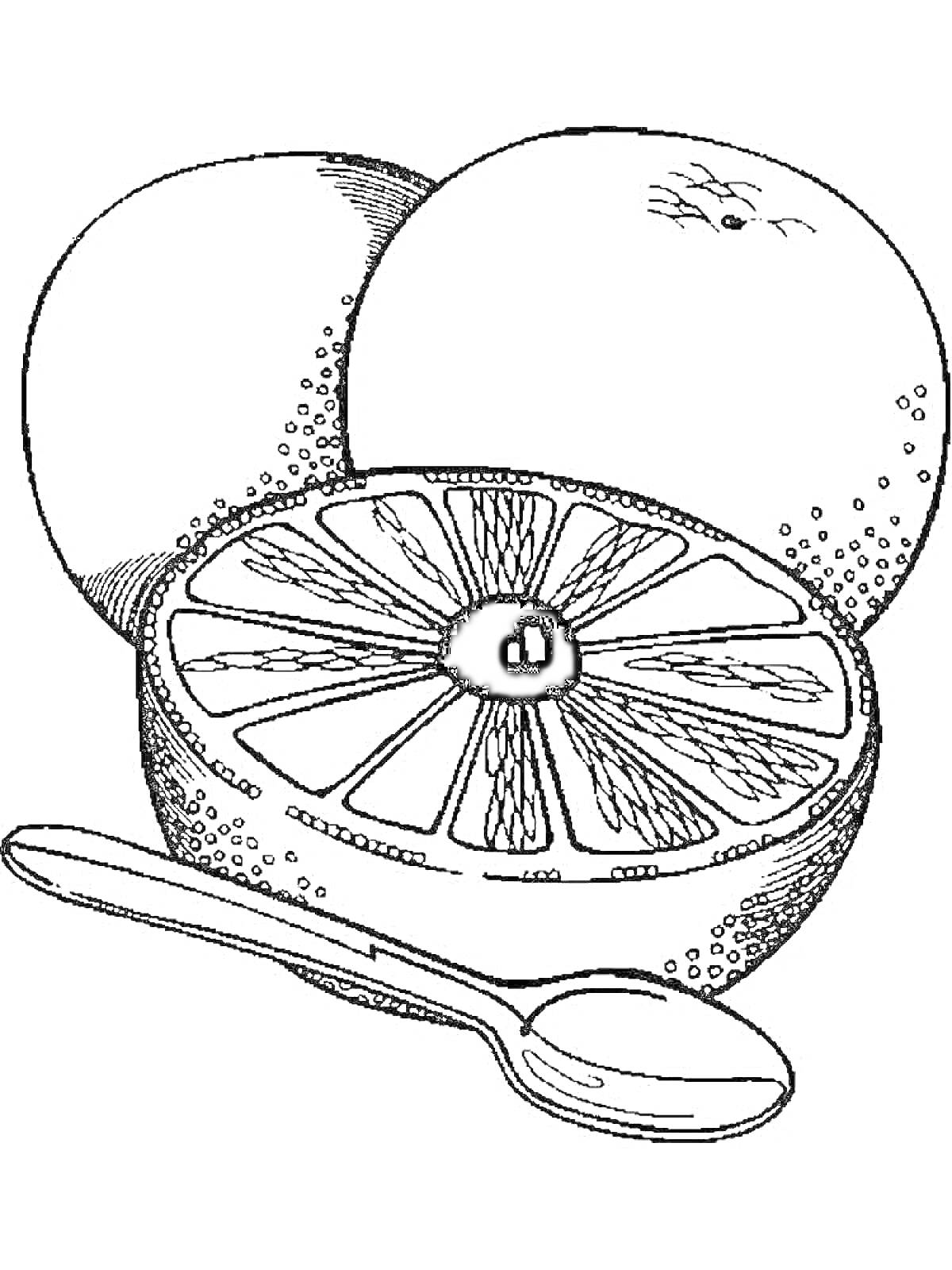 Раскраска Целый грейпфрут, половинка грейпфрута, ложка