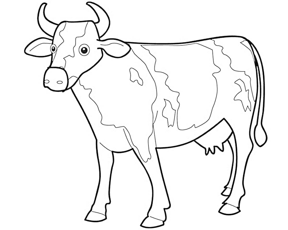 Раскраска Корова с пятнами
