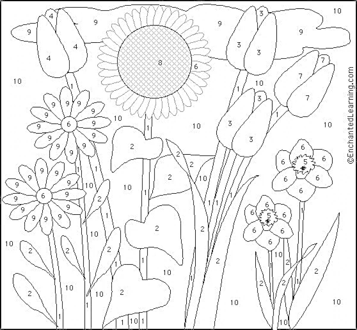 На раскраске изображено: Цветы, По номерам, Тюльпаны, Маргаритки, Облака, Листья, Природа