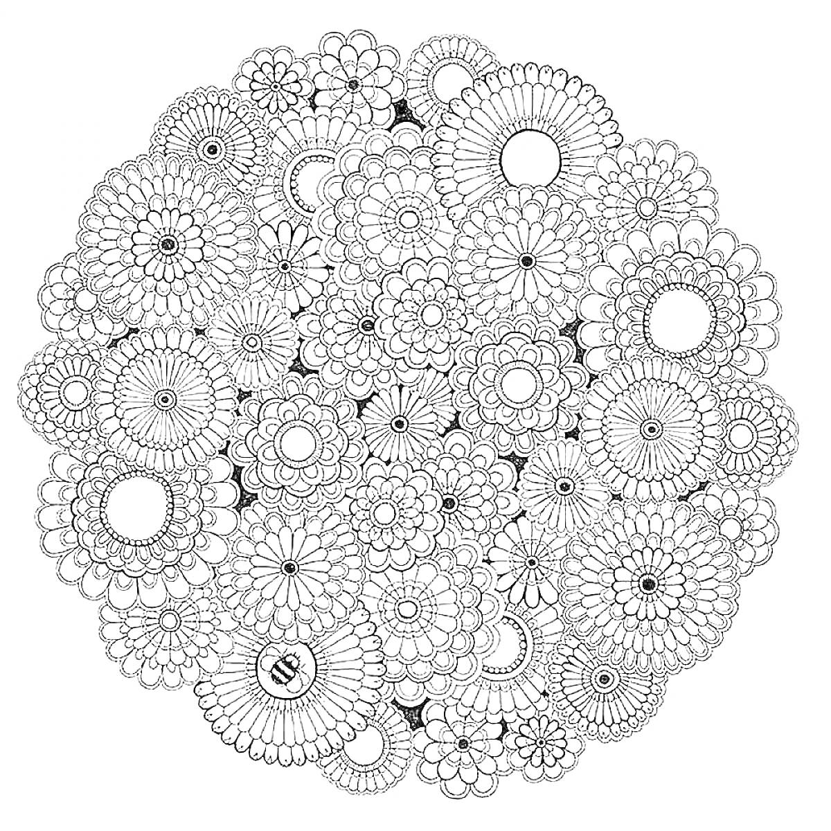 Раскраска Раскраска антистресс с круговыми цветочными узорами