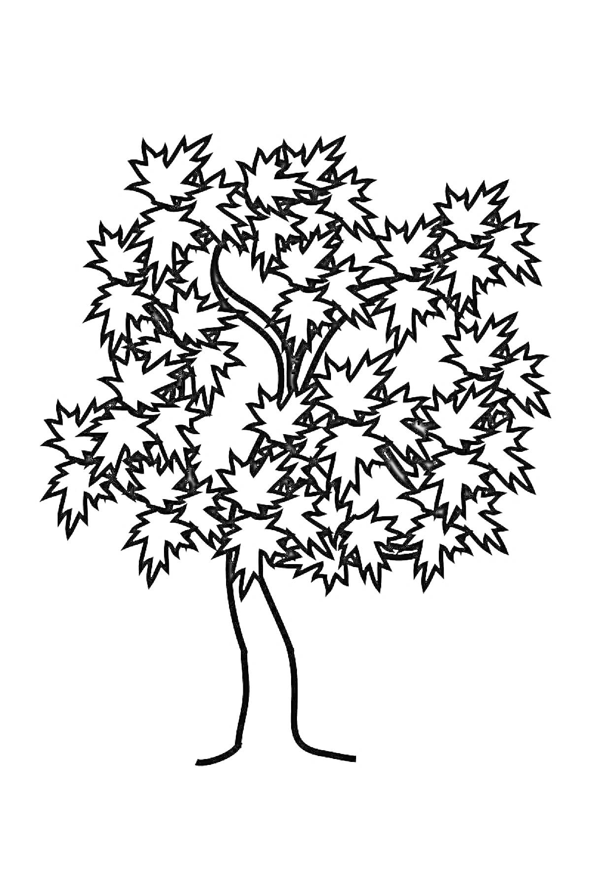 На раскраске изображено: Листья, Природа, Растительность, Крона, Ботаника, Деревья, Контурные рисунки