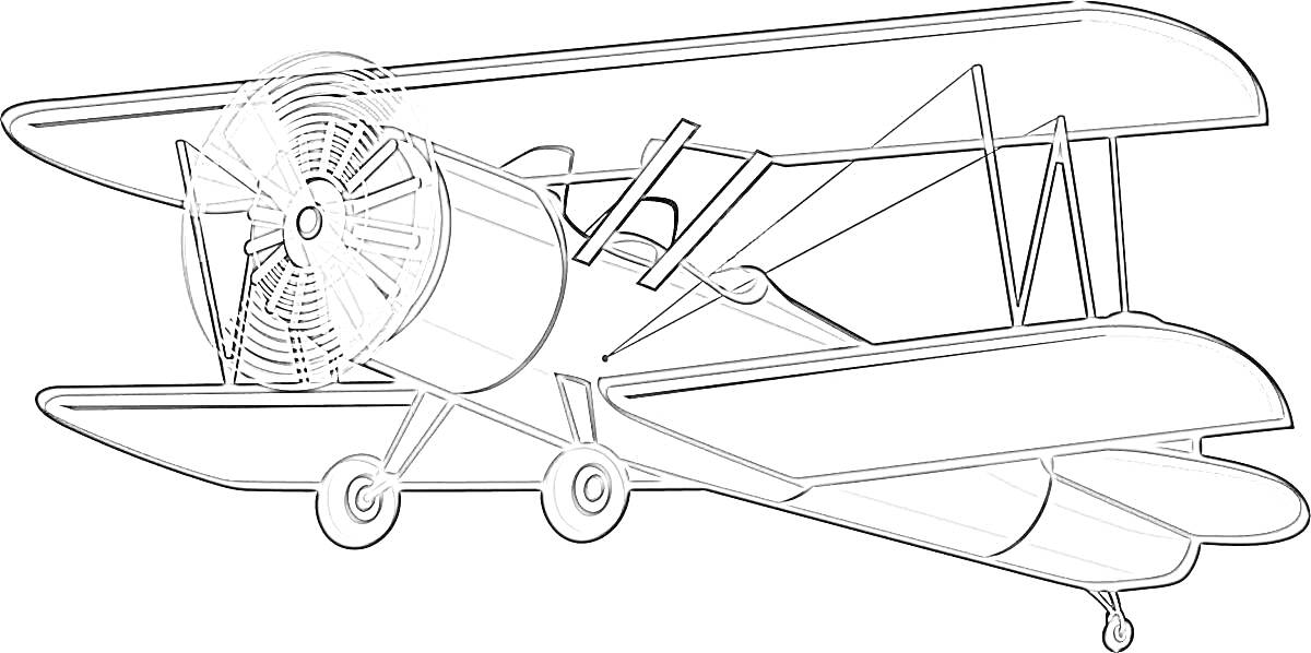Раскраска Двухмоторный кукурузник с двумя верхними крыльями, шасси и пропеллером.