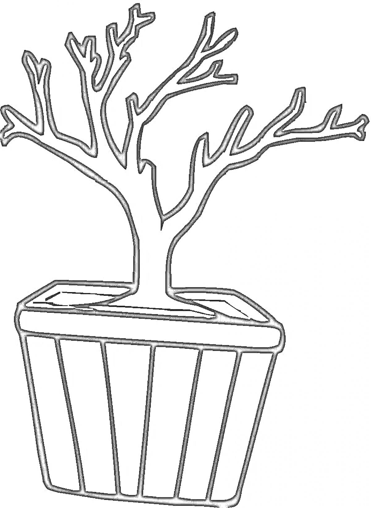 На раскраске изображено: Без листьев, Для детей, 3 года, 4 года, Деревья, Растения, Горшки