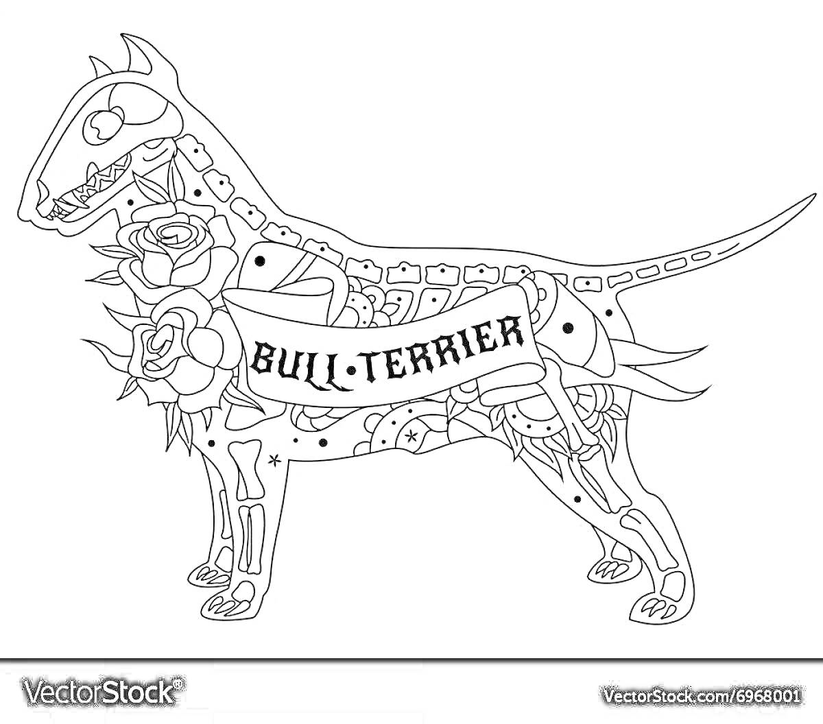 Раскраска Бультерьер с черепом и цветами, лента с надписью 