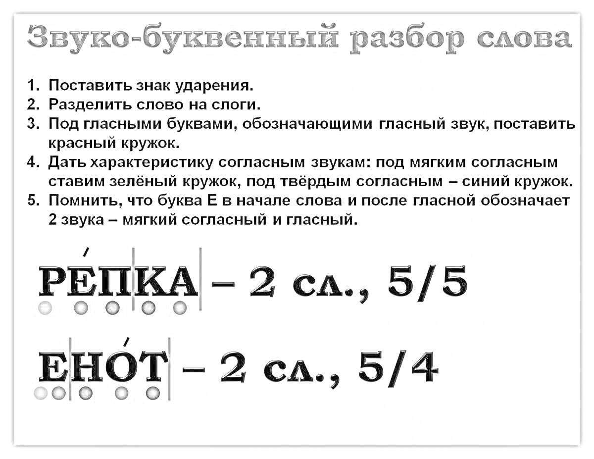 На раскраске изображено: Звуко-буквенный разбор, Ударение, Деление на слоги, Гласные звуки, Согласные звуки, Енот, Русский язык