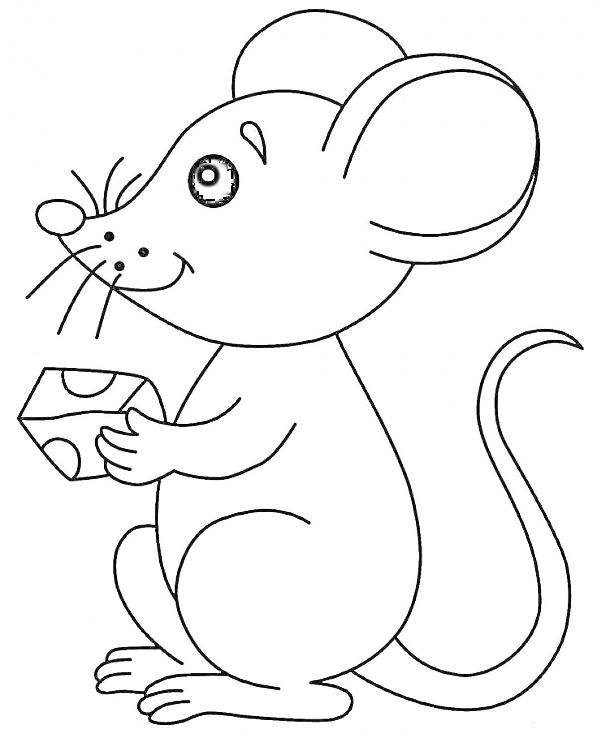 На раскраске изображено: Сыр, Животные, Для детей, Грызуны, Контурные рисунки, Мышь