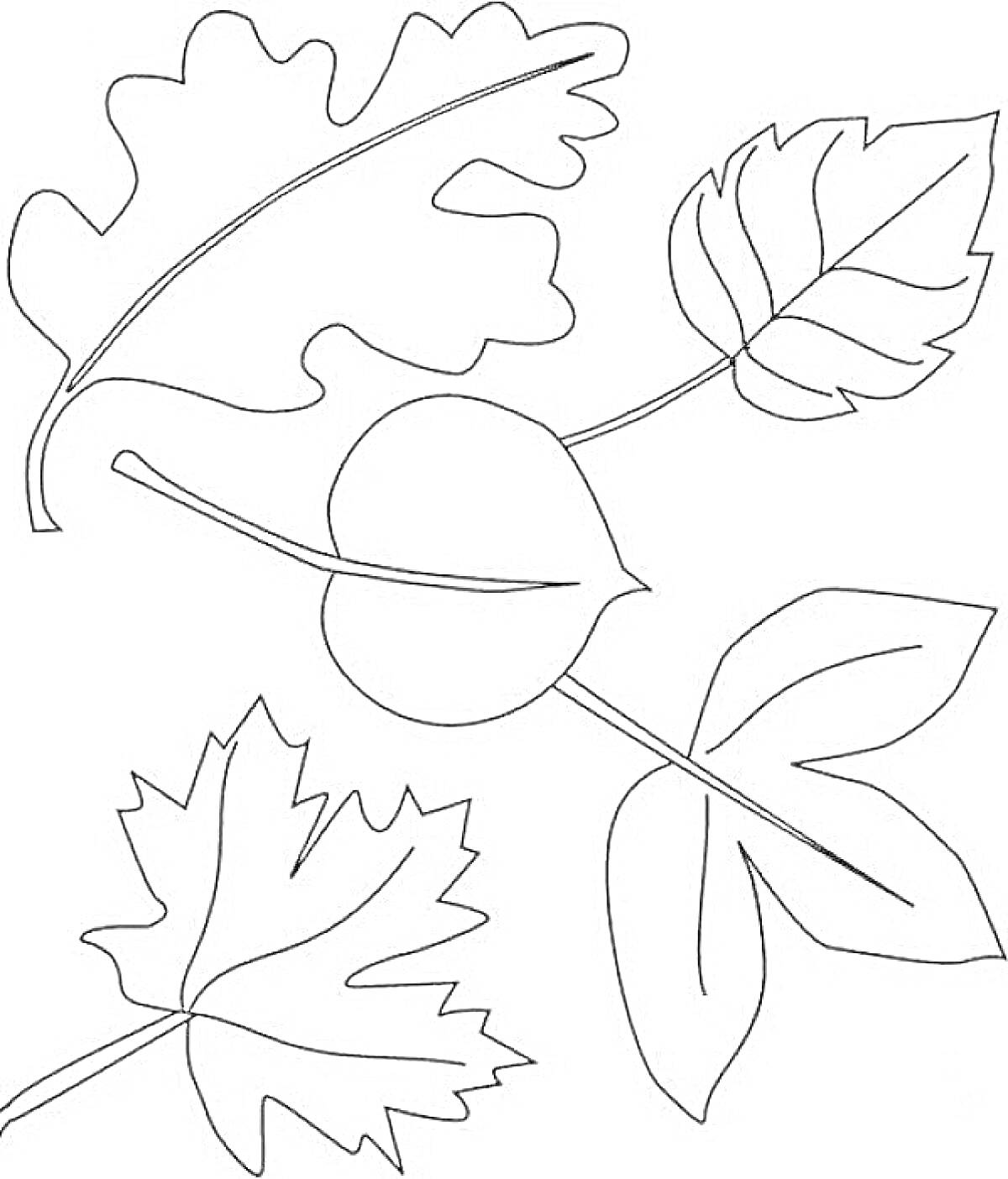 На раскраске изображено: Осень, Листья, Природа, Дубовый лист, Разукрашка, Творческая деятельность