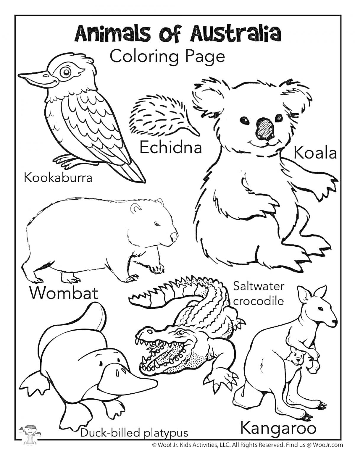 На раскраске изображено: Животные, Австралия, Ехидна, Коала, Вомбат, Утконос, Кенгуру, Дошкольники