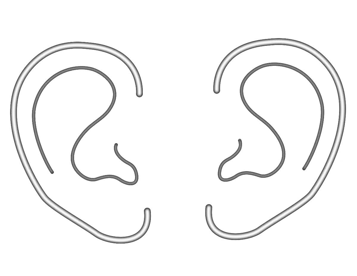Раскраска Пара ушей