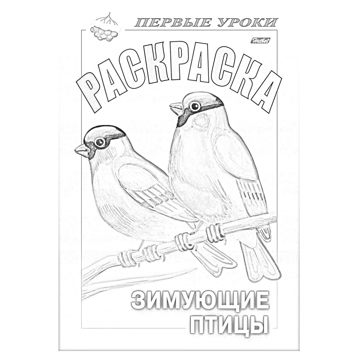 Раскраска первые уроки, раскраска, зимующие птицы, две птицы на ветке