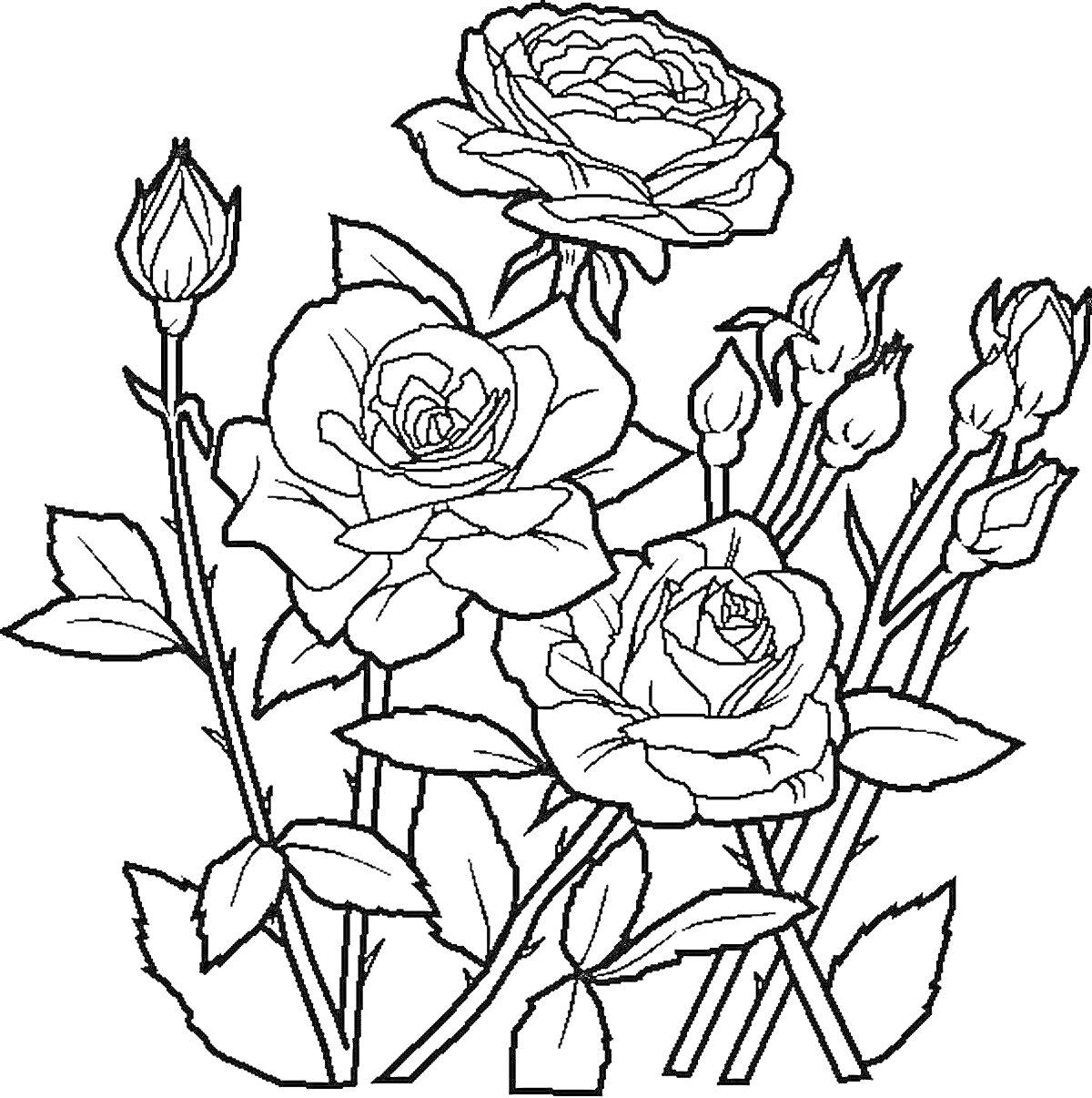 Раскраска Букет из роз с листьями и бутонами