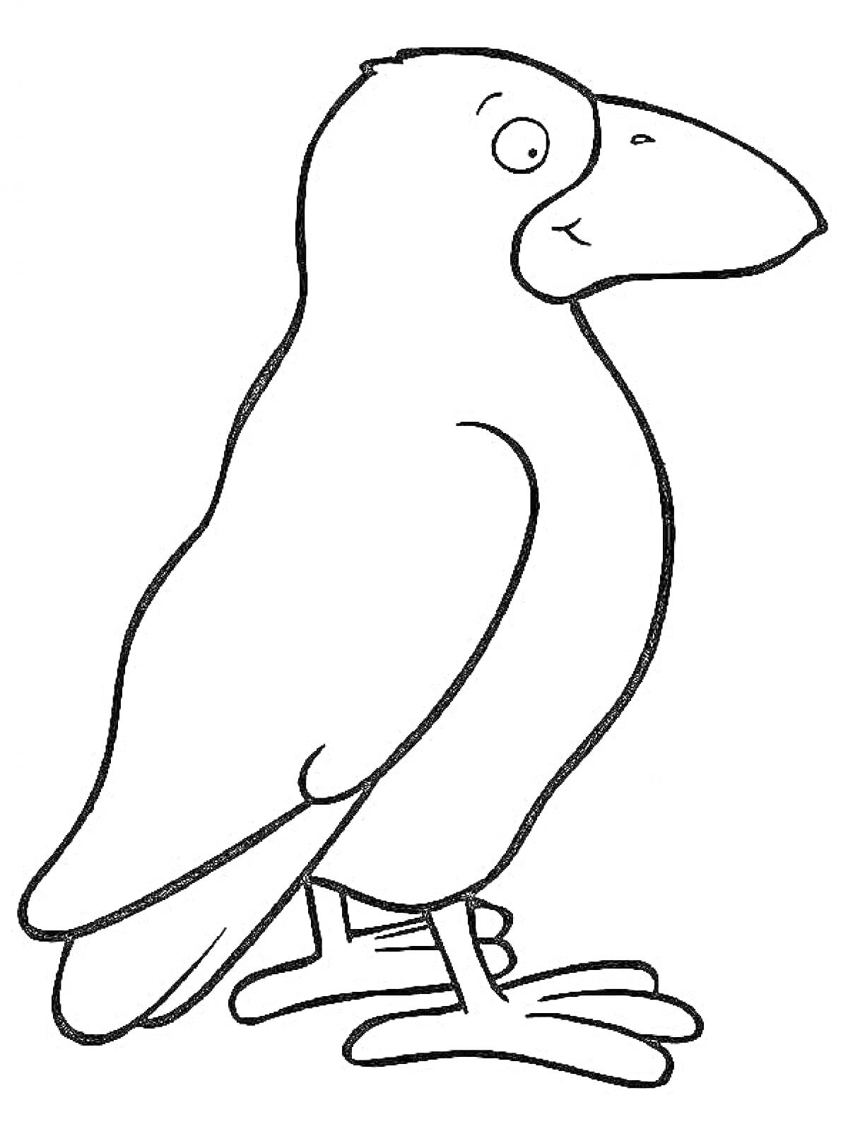 Раскраска Раскраска ворона для детей с крупным контуром и большим клювом