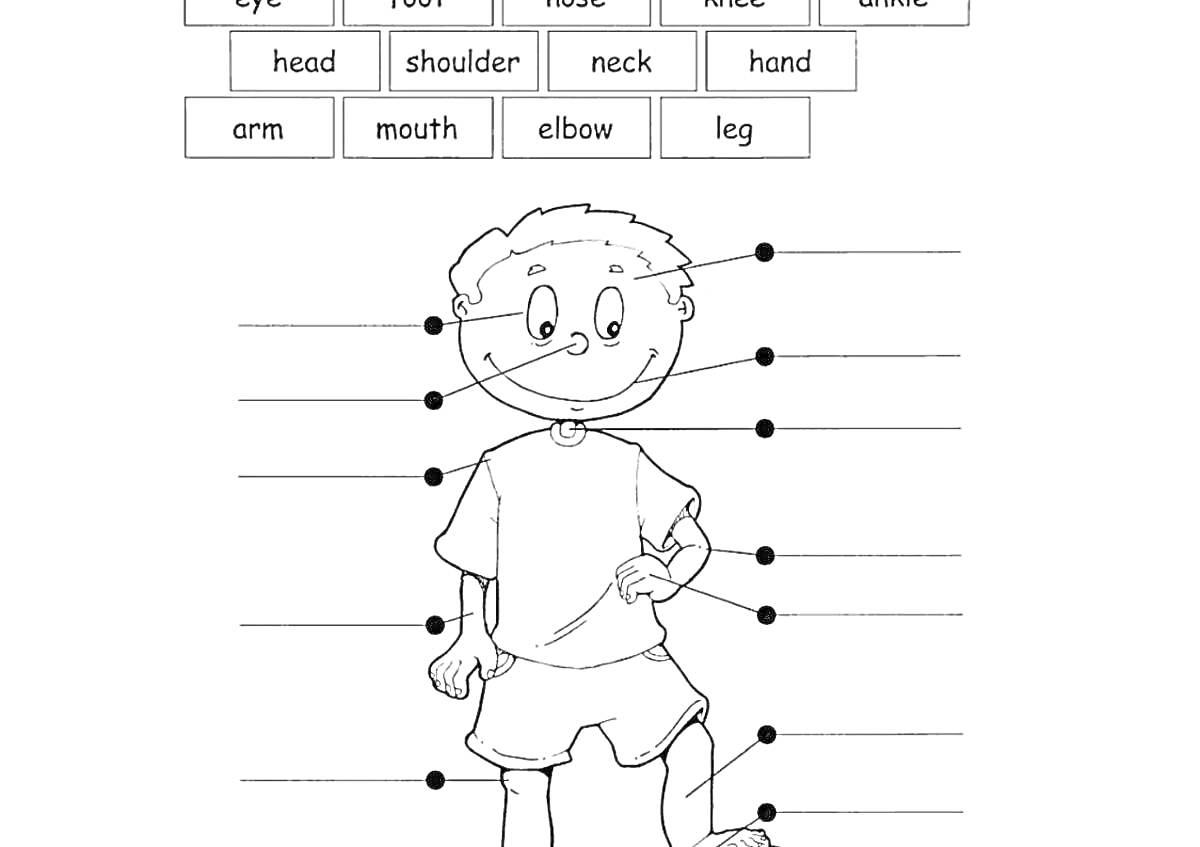 Раскраска Раскраска частей тела на английском языке для детей (eye, foot, nose, knee, ankle, head, shoulder, neck, hand, arm, mouth, elbow, leg)